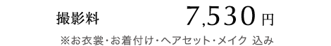 撮影料 7,530円 ※お衣裳・お着付け・ヘアセット・メイク 込み