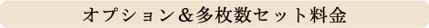 オプション＆多枚数セット料金